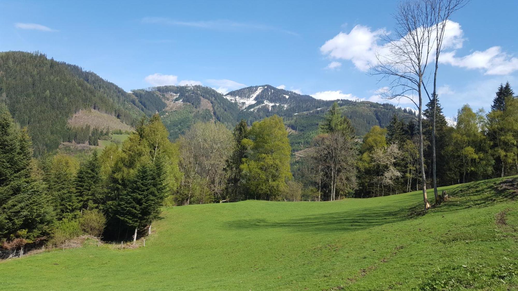 Kloiberhof Villa Oblarn Eksteriør billede