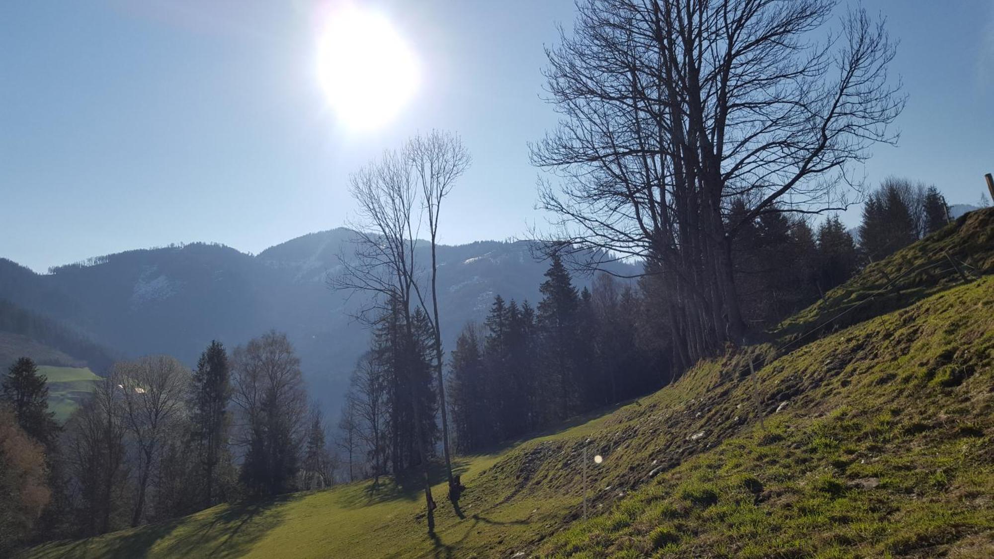 Kloiberhof Villa Oblarn Eksteriør billede